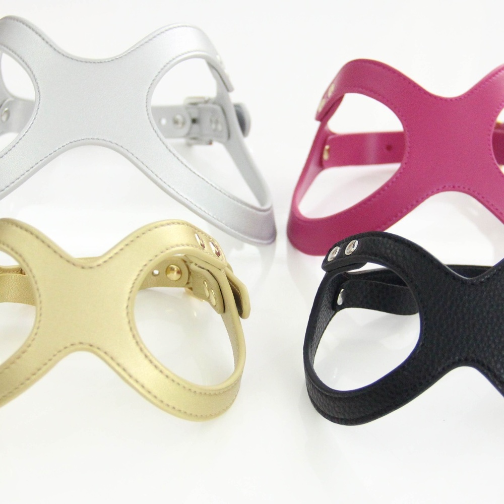 To Beg for Accessories and Treats Premium Vegan Dog Harness Size Small - Picture 3 of 5